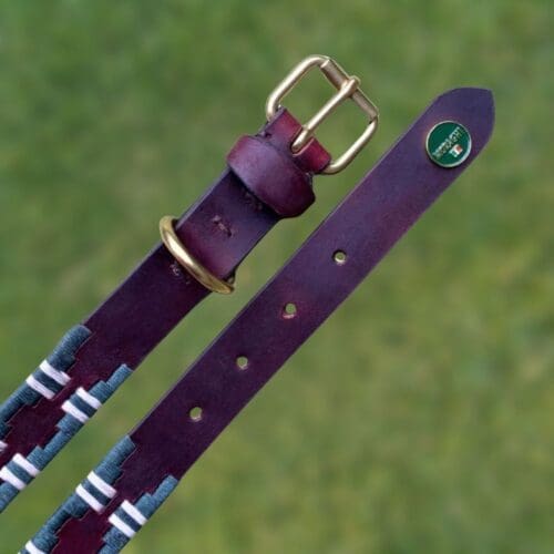 Detail van halsband Bermejo