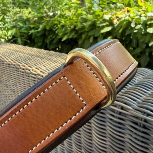 Detail van de Brunico halsband.