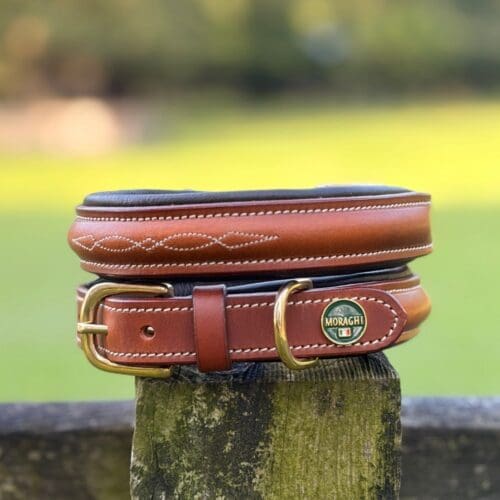 Padded leren halsband met sierstiksel en koperen gesp