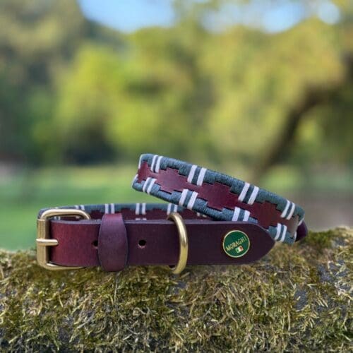 Polo halsband Bermejo in donkergroen met wit