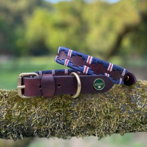 Polo halsband in donkerblauw met rood en wit