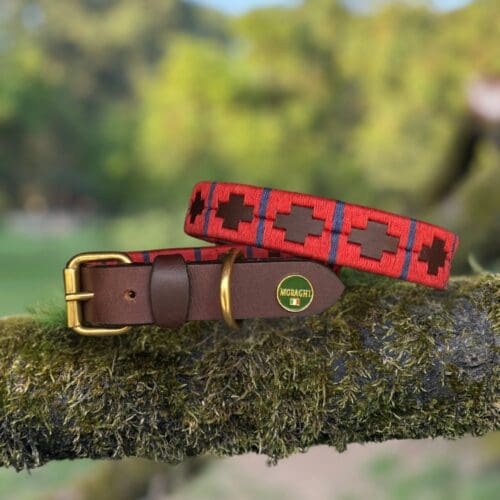 Polo halsband met rood wasgaren en donkerblauw streepje